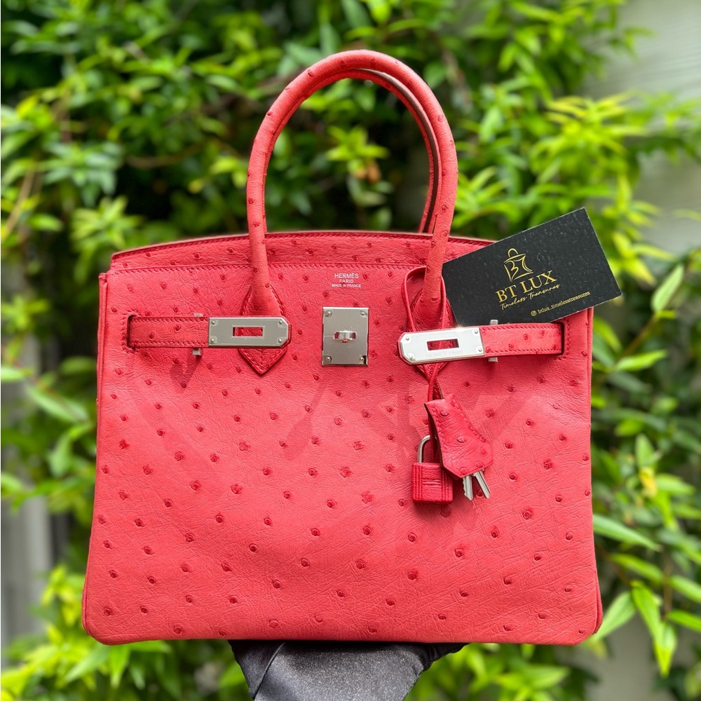 Birkin 30 bougainvillea ostrich